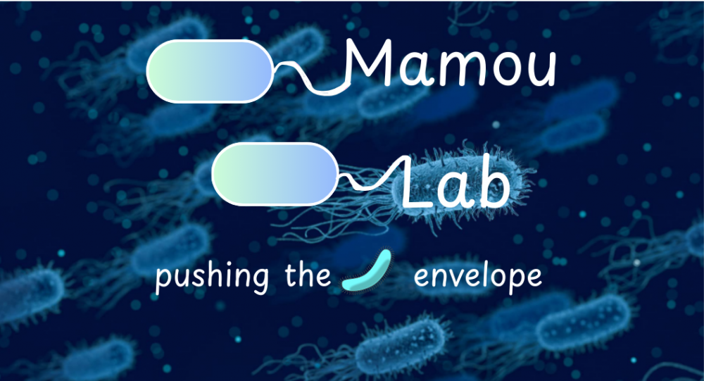 new lab banner cropped