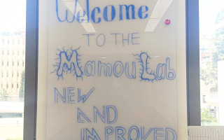 lab whiteboard