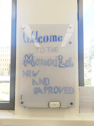 lab whiteboard